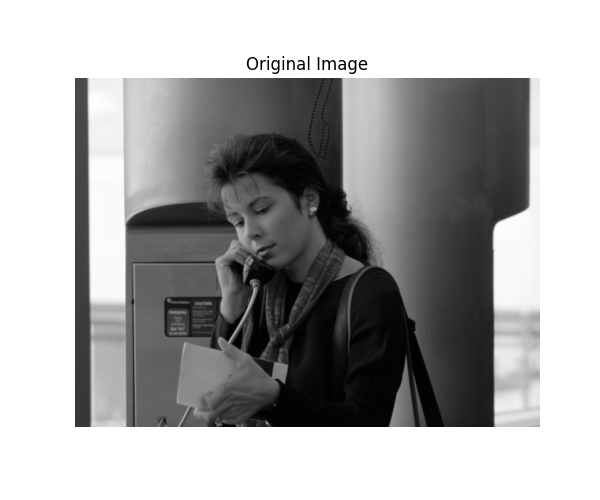 Original Image