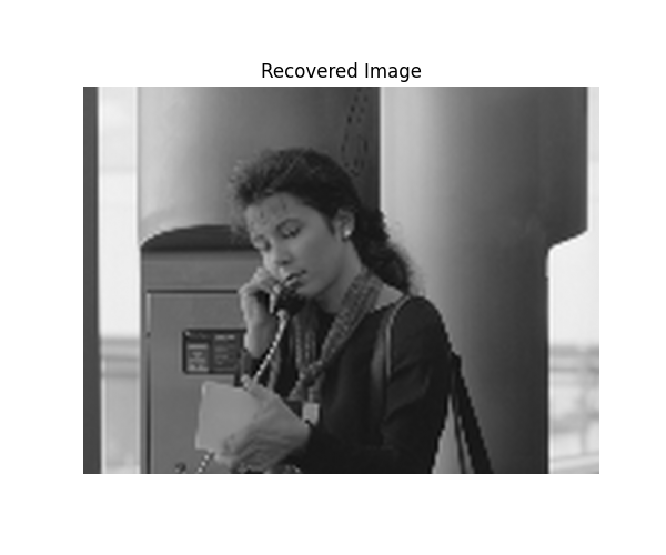 Recovered Image