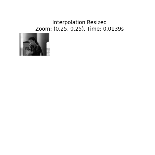 Interpolation Resized Zoom: (0.25, 0.25), Time: 0.0139s