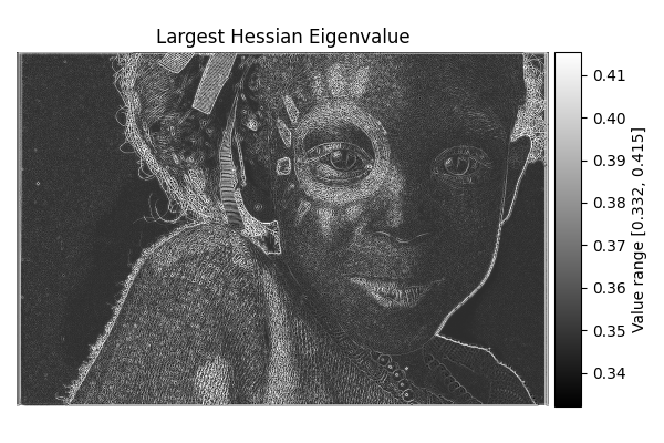 Largest Hessian Eigenvalue