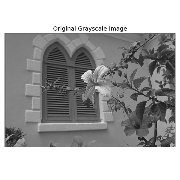 Original Grayscale Image
