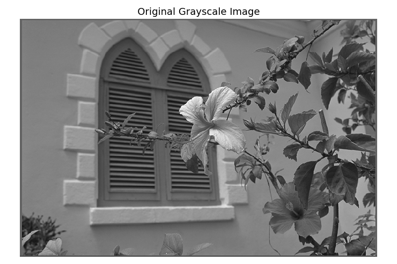 Original Grayscale Image