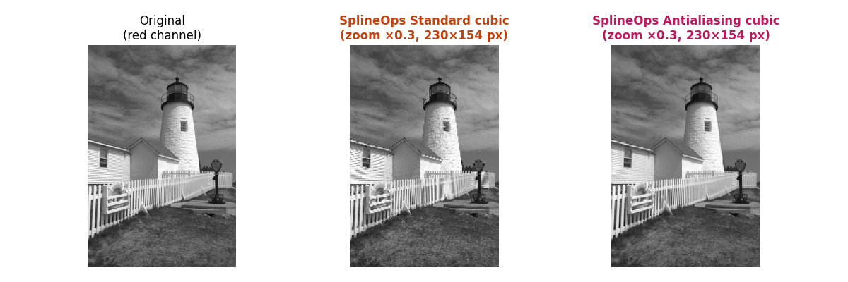 Original (red channel), SplineOps Standard cubic (zoom ×0.3, 230×154 px), SplineOps Antialiasing cubic (zoom ×0.3, 230×154 px)