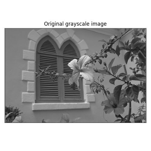 Original grayscale image