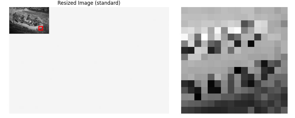 Resized Image (standard)