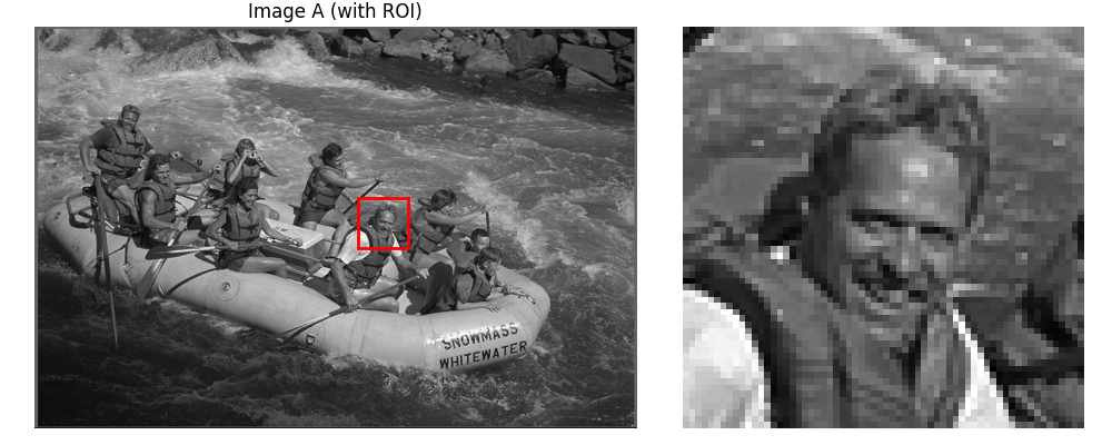 Image A (with ROI)
