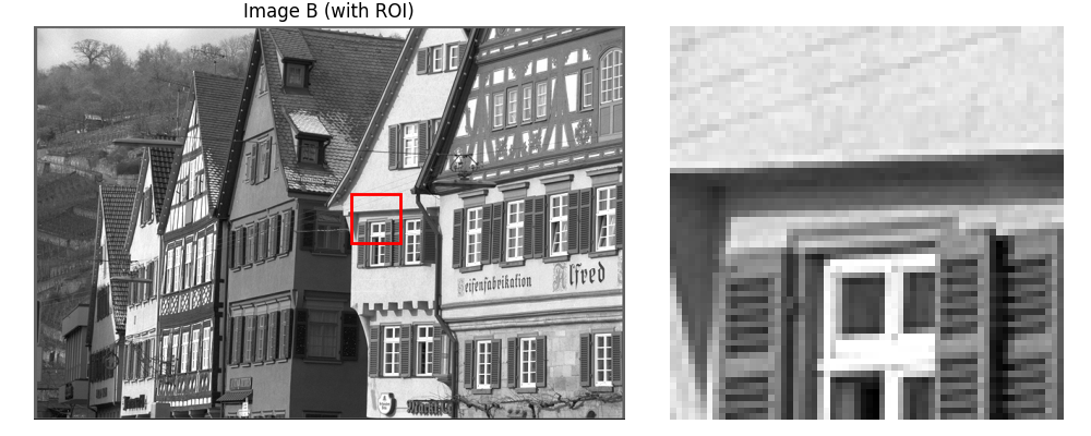 Image B (with ROI)