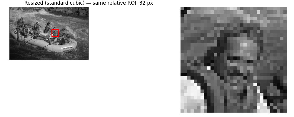Resized (standard cubic) — same relative ROI, 32 px