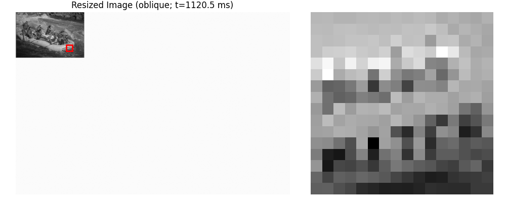 Resized Image (oblique; t=1120.5 ms)