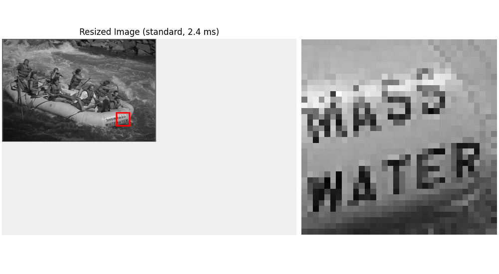 Resized Image (standard, 2.4 ms)