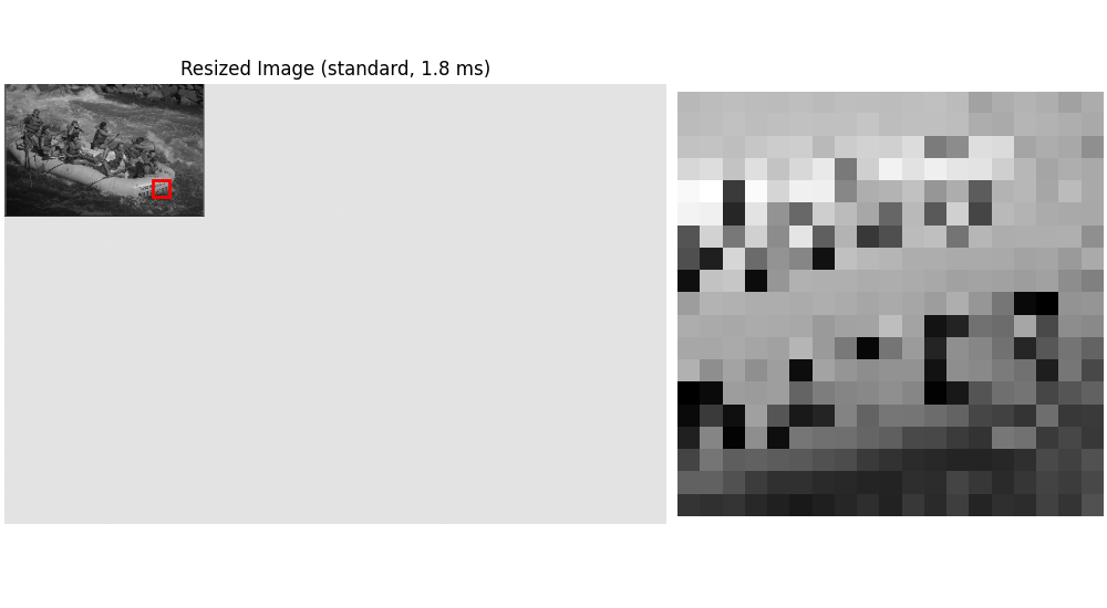 Resized Image (standard, 1.8 ms)