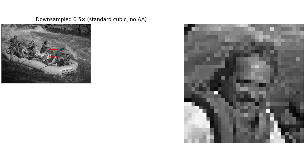 Downsampled 0.5× (standard cubic, no AA)
