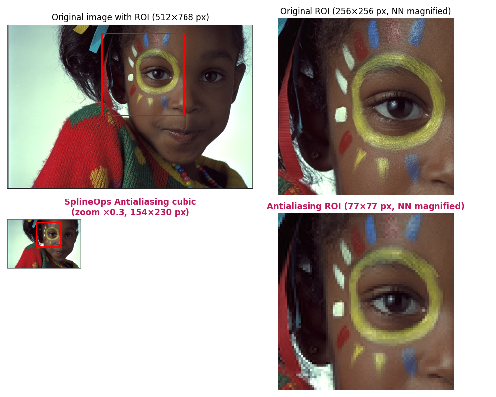 Original image with ROI (512×768 px), Original ROI (256×256 px, NN magnified), SplineOps Antialiasing cubic (zoom ×0.3, 154×230 px), Antialiasing ROI (77×77 px, NN magnified)