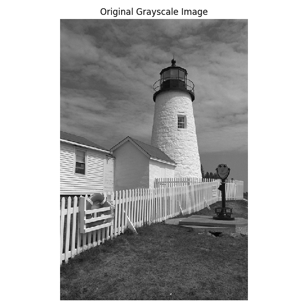 Original Grayscale Image